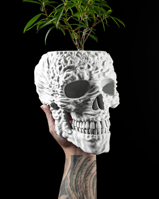 Planter-06: Skull Outdoor Planter With Integrated Drainage and Matching Saucer