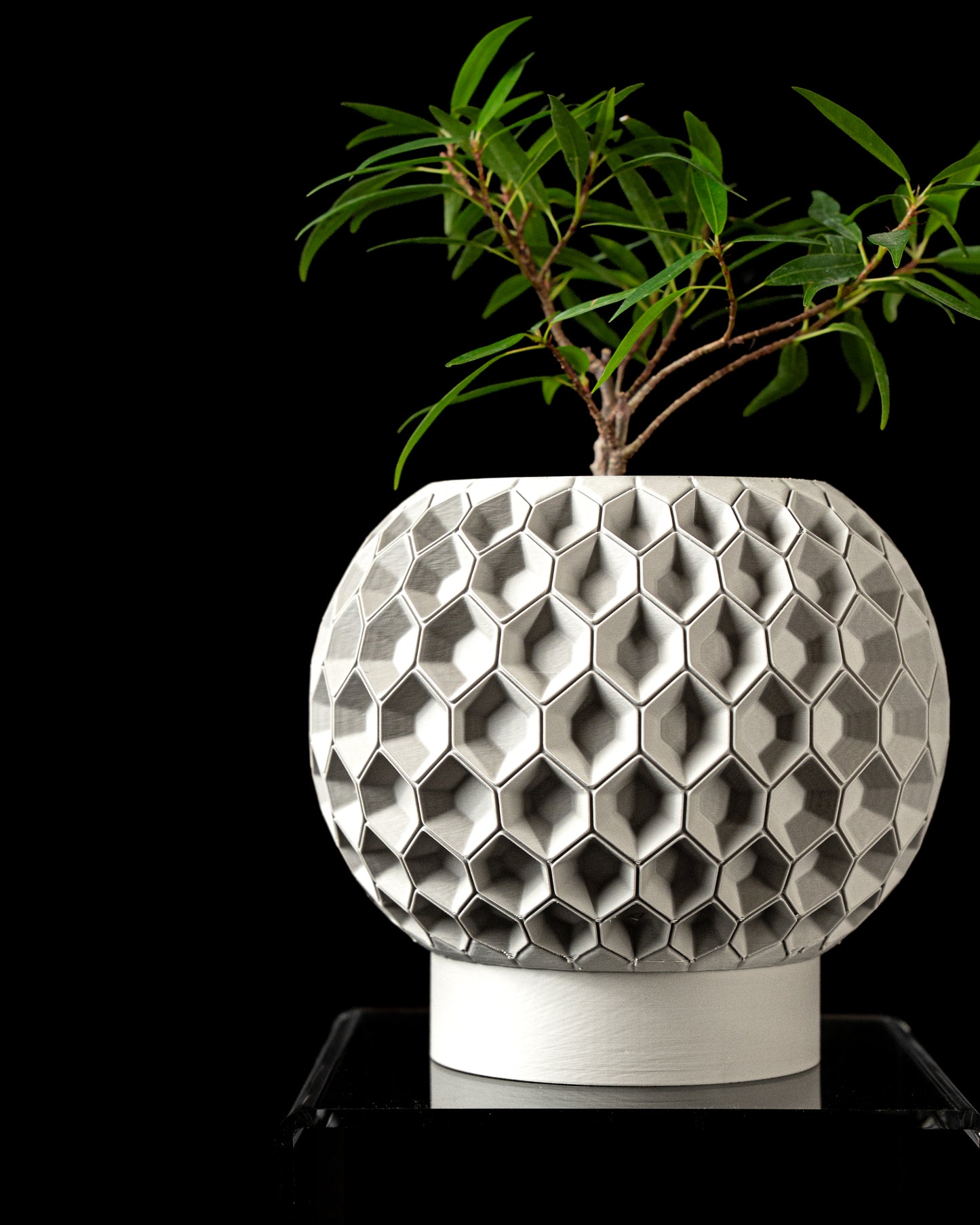 Planter-02: Architectural indoor planter with integrated drainage and matching saucer
