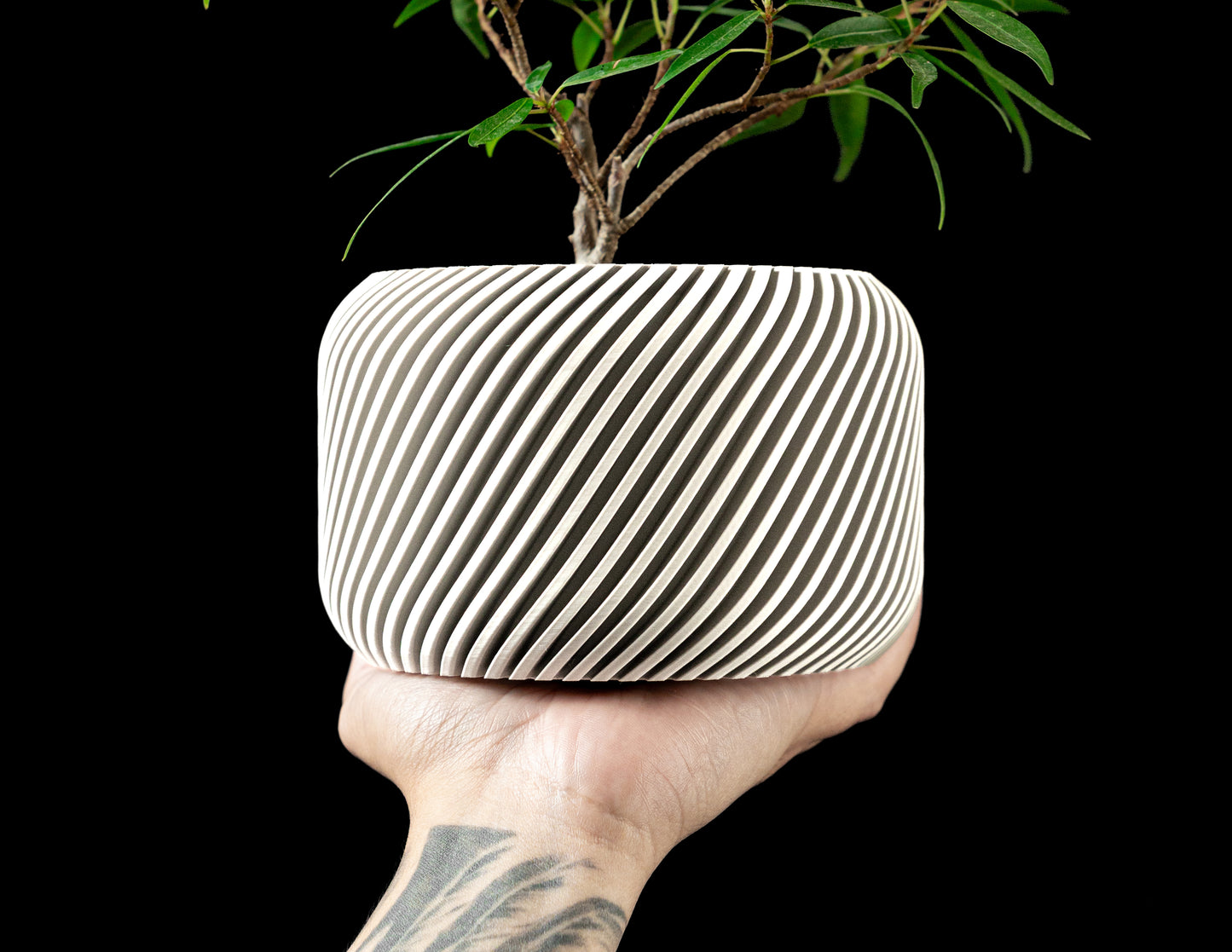 Planter-05: Slant Indoor Planter With Integrated Drainage and Matching Saucer