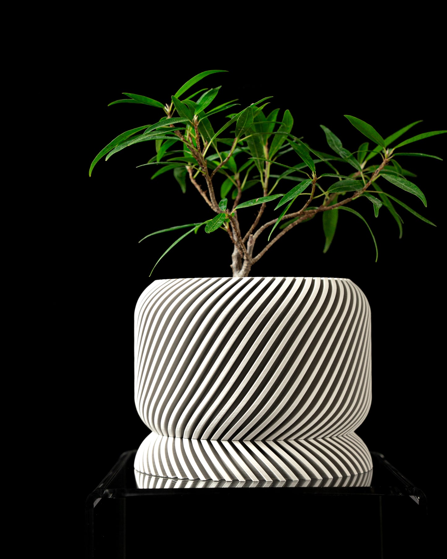 Planter-05: Slant Indoor Planter With Integrated Drainage and Matching Saucer