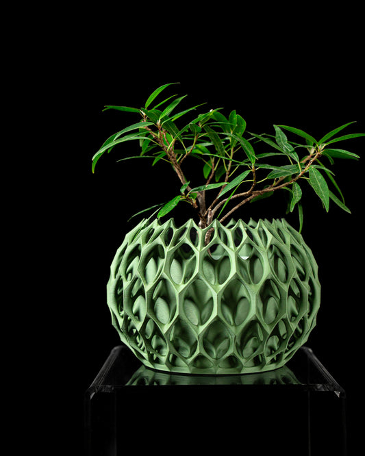 Planter-01: Sculptural indoor planter with integrated drainage and matching saucer.
