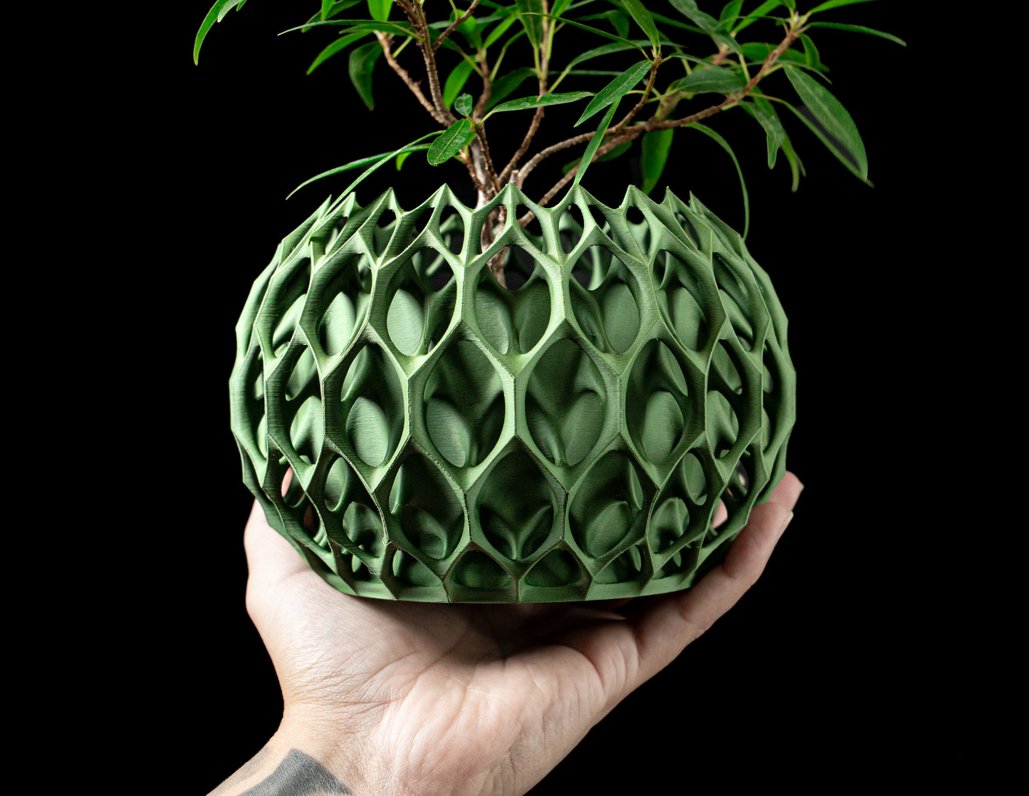 Planter-01: Sculptural indoor planter with integrated drainage and matching saucer.