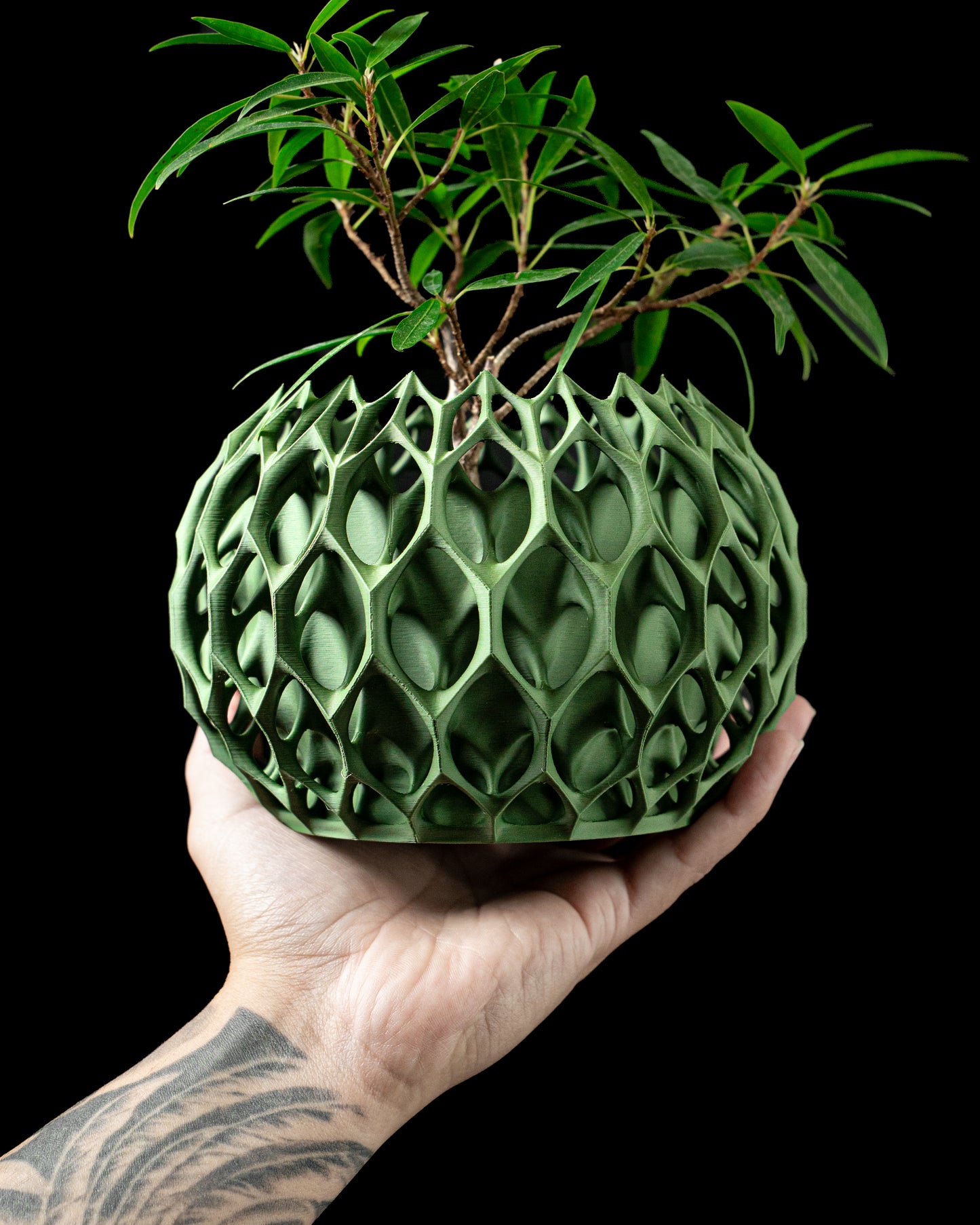 Planter-01: Sculptural indoor planter with integrated drainage and matching saucer.