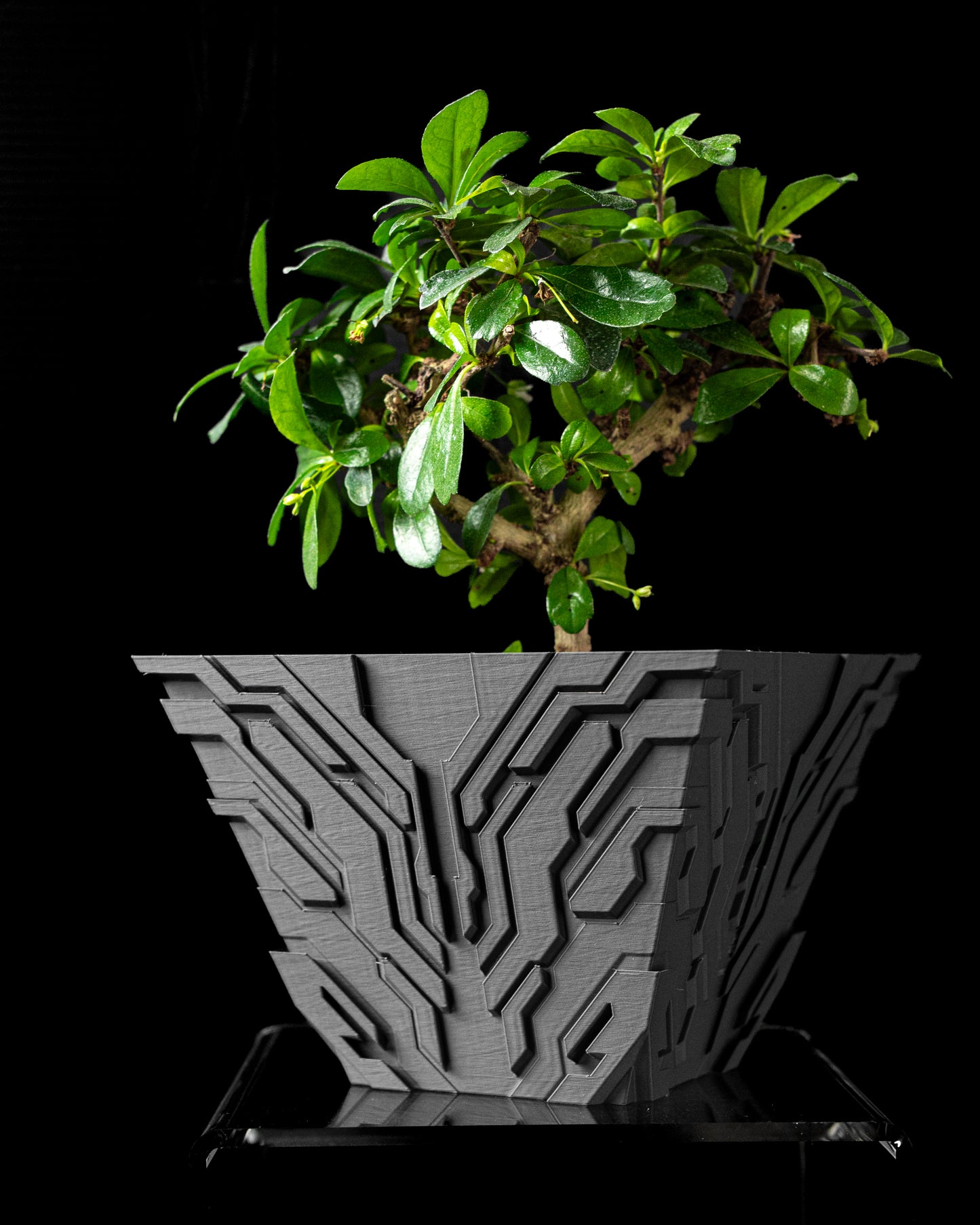 Planter-08: Uplink Indoor Planter With Integrated Drainage and Matching Saucer