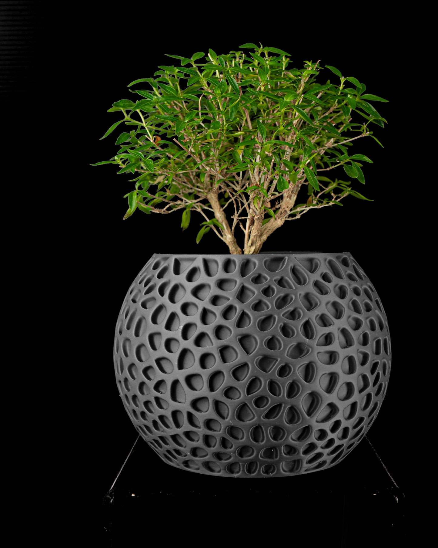 Planter-03: Textural Indoor Planter with Integrated Drainage and Saucer