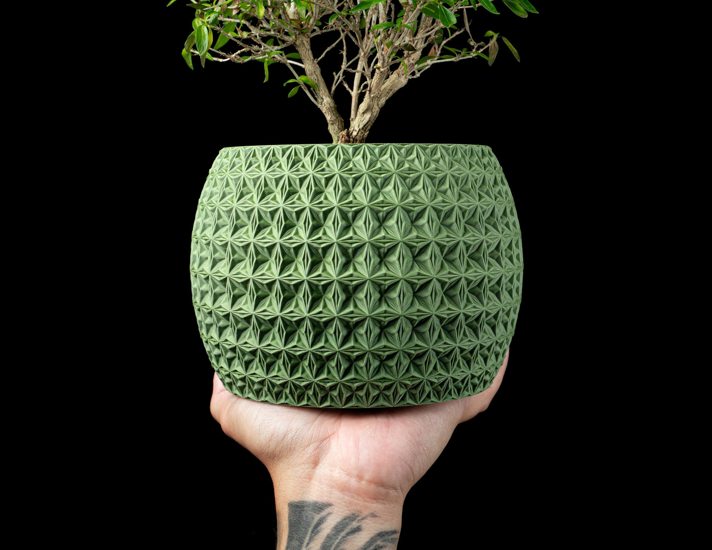 Planter-04: Burst Indoor Planter With Integrated Drainage and Saucer