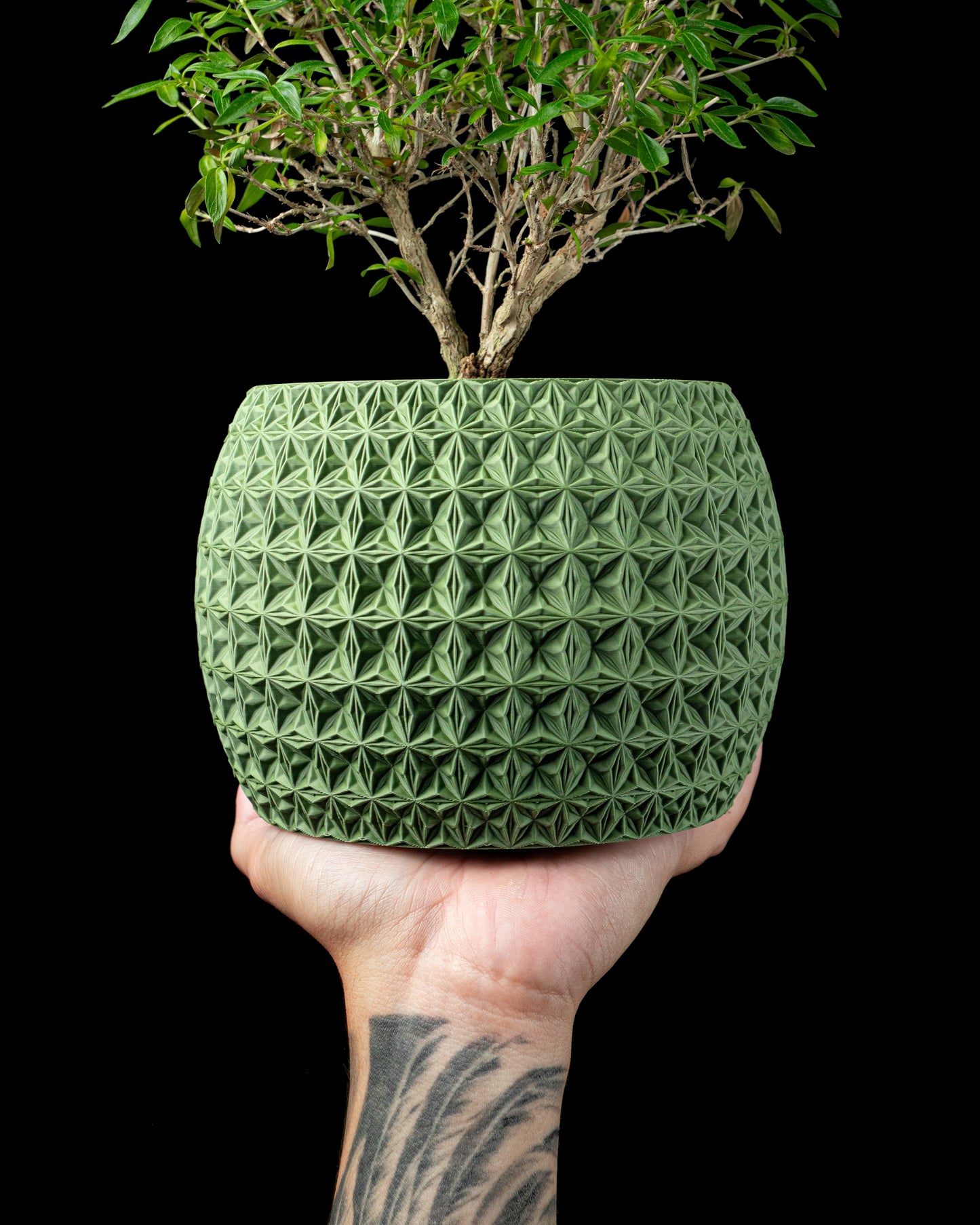 Planter-04: Burst Indoor Planter With Integrated Drainage and Saucer