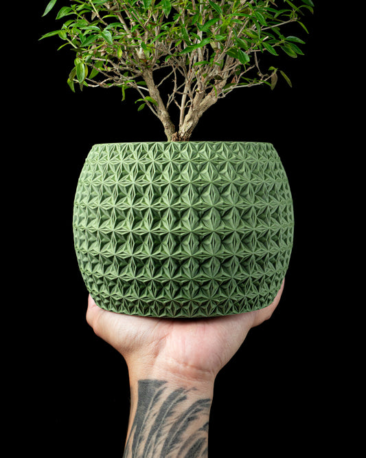 Planter-04: Burst Indoor Planter With Integrated Drainage and Saucer
